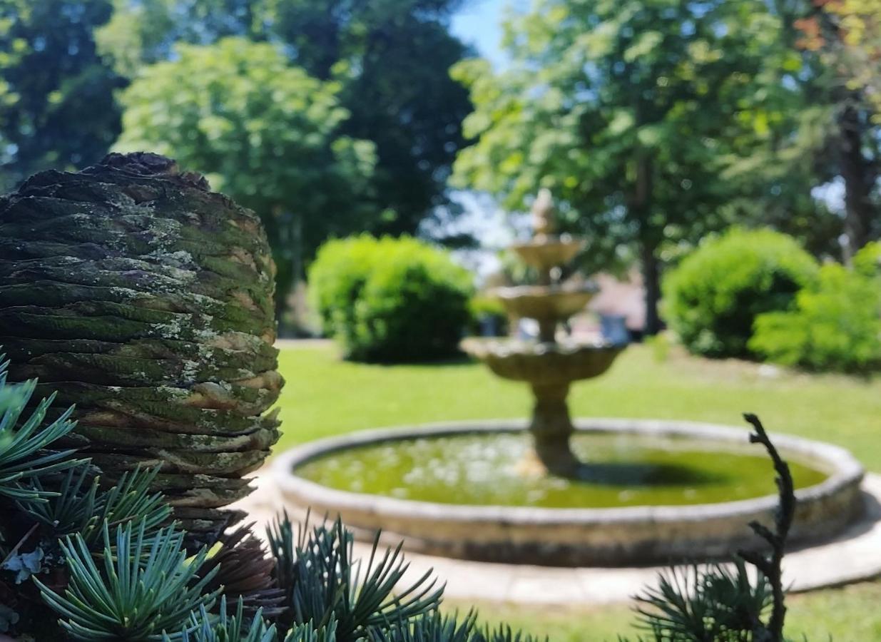 Chateau Marith - Etablissement Climatise Avec Piscine Hotel Clairac  Exterior foto